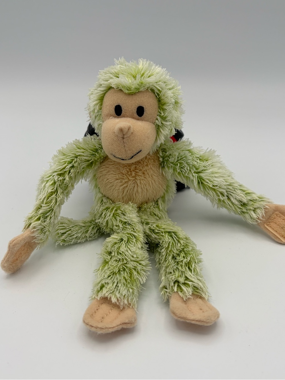 American Girl Doll Jess Travel Plush pet Green Monkey toshi Lea GOTY 2006